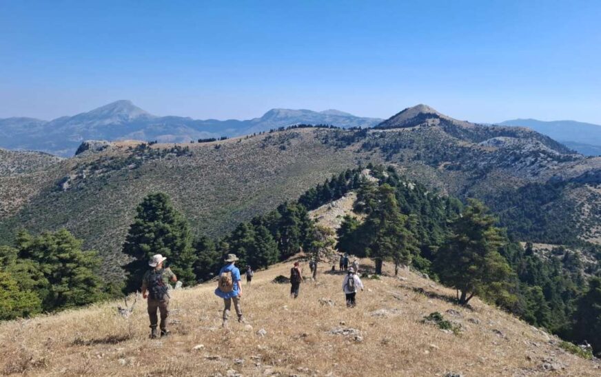 Εύβοια: Επιφανειακή έρευνα μεταξύ Ερέτριας και Αμαρύνθου