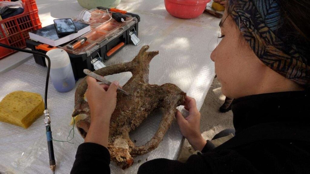 Πρώτα σωστικά μέτρα συντήρησης των ευρημάτων που ανελκύστηκαν στο πεδίο Φωτογραφία Σ. Αποστολόπουλος_