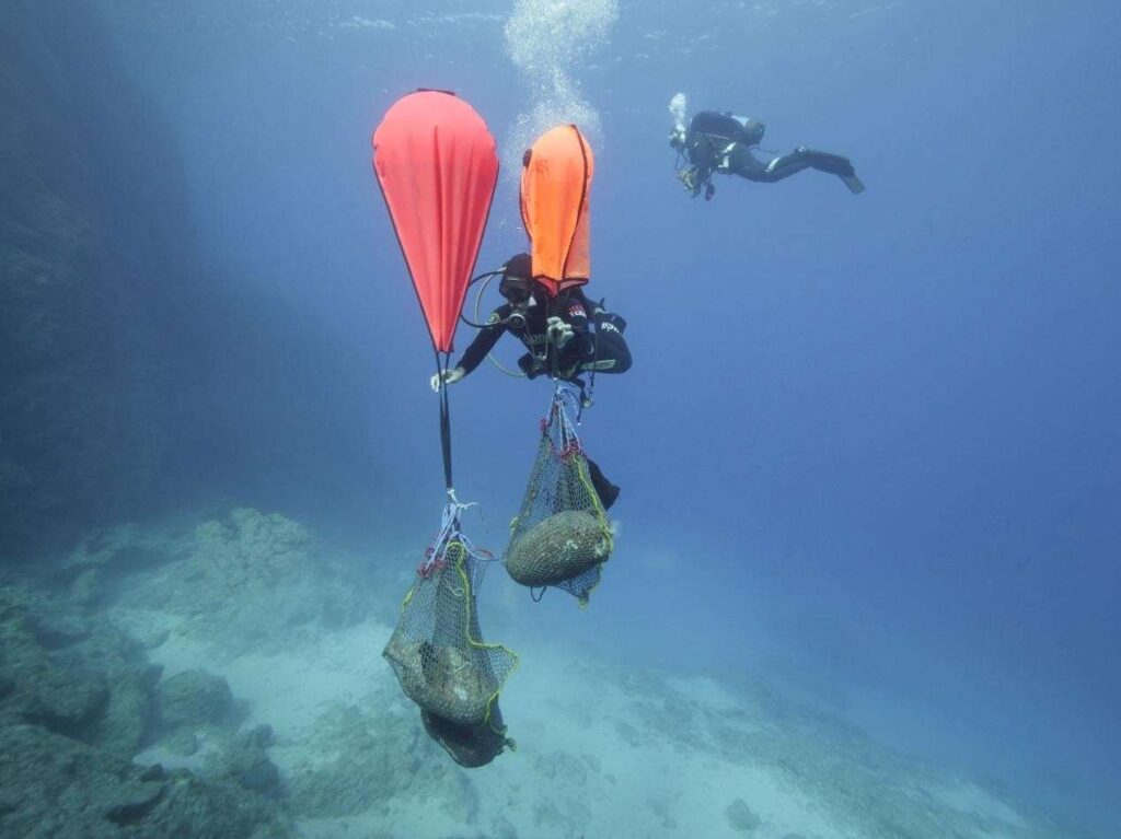 Ανέλκυση αντικειμένων από τον χώρο του ναυαγίου ΚΘ3 Φωτογραφία Σ. Αποστολόπουλος_