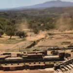 Αρχαία Μεσσήνη: Άσκηση ετοιμότητας για την αντιμετώπιση δασικής πυρκαγιάς